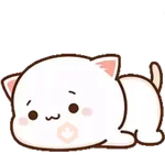 Mochi Peach Cat #9 mov