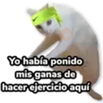 15 Trabajo Ejercicio