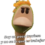 31 minutos