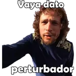 5.6 Caray Declaracion Report ##