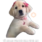 Yo abia ponido 2 