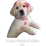 Yo abia ponido 2 