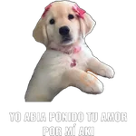 Yo abia ponido 2 