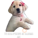Yo abia ponido 2 