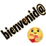9.6 Grupo general Bienveni ##
