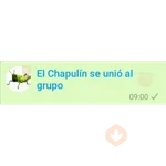 9.6 Grupo general Bienveni ##
