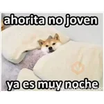 12.2 Cansado Dor Desvelo -