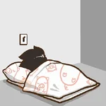 12.2 Cansado Dorm Cari #