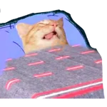 12.2 Cansado Dormido --