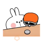 [Animation] Only Spoiled Rabbit