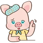 Animalitos curiosos 🧸