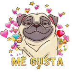 ✨Pug Power✨ 