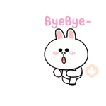 BROWN & FRIENDS x HyperRabbit : 5