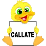 DUCKSING 