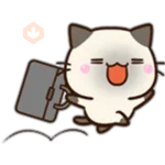 Chibi Siamese Cat