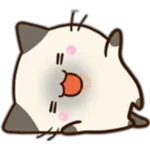 Chibi Siamese Cat