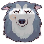 Dogs Memes