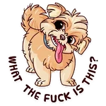 Dogs Memes