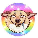Dogs Memes