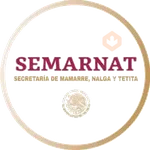 Logotipos🤙 