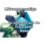 rio pelicla 