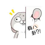 GIF - Miss Very Rabbit