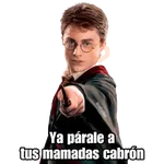 Harry Potter