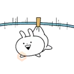 Mini Usagyuuun