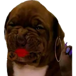 No Mi Ciela