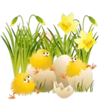 Pascua 
