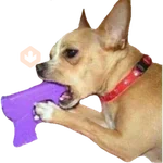 Perritos