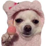 Perritos