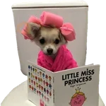 Perritos