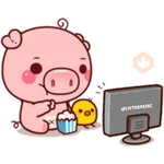 PINK PIG 2