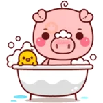 PINK PIG