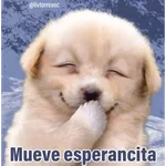 PUPPY