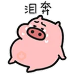 Quby Pig - Sticker 2