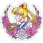 Sailor Moon #3