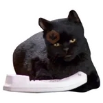 Salem Saberhagen (Sabrina the Teenage Witch)