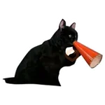 Salem Saberhagen (Sabrina the Teenage Witch)