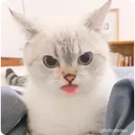 SURPRISE