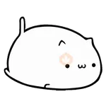 WHITE KITTEN