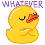 YELLOW DUCK