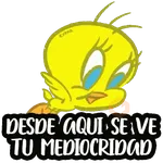 Piolin
