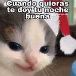 Gatitos Navidad