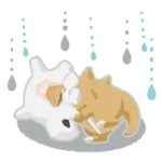 Pokémon Sleep 