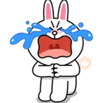 Brown & Cony Big Love Stickers 