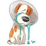 La Vida Secreta De Tus Mascotas (Animated). 🐶 🐾