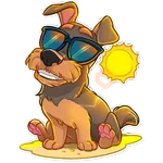 La Vida Secreta De Tus Mascotas (Animated). 🐶 🐾