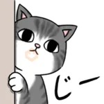 Expressed by Cat Action! 